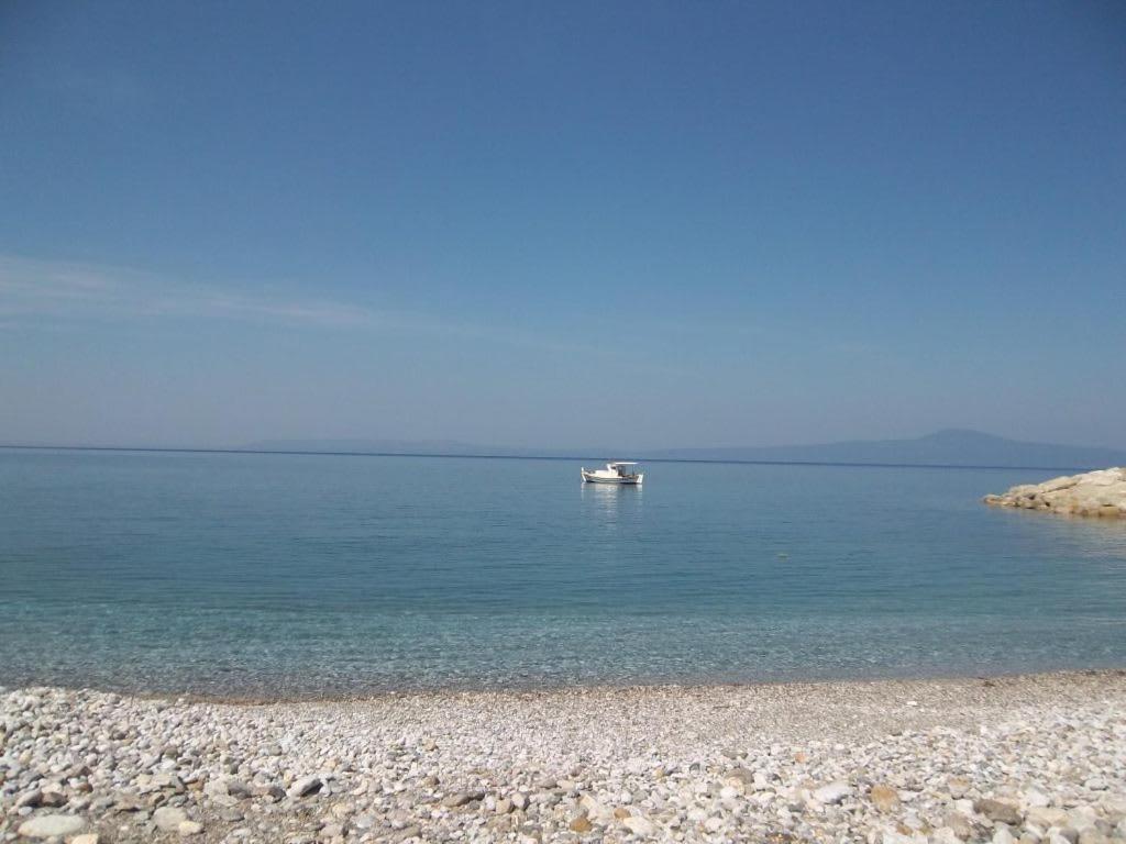 Amber Seaview Villa By The Olive Groves Kalamata Exterior foto
